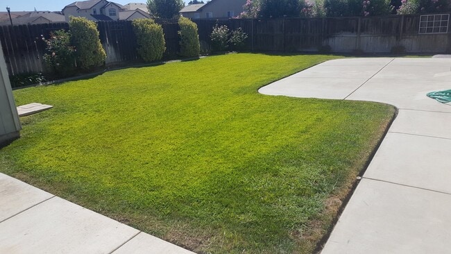 Building Photo - 4 Bedroom Home