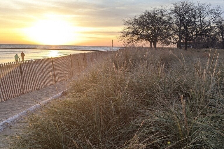 Loyola Beach Dunes nature area - 1360 W Estes Ave