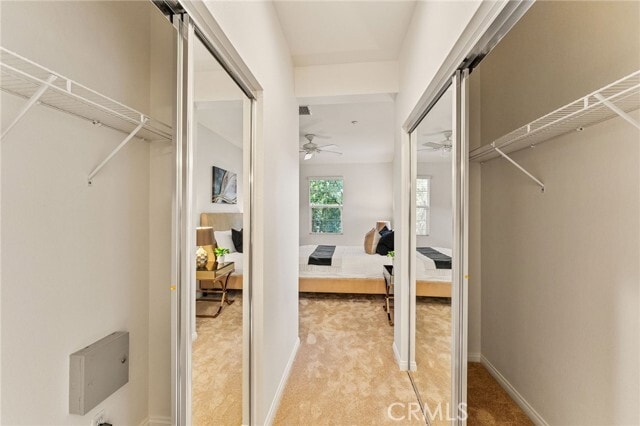 Building Photo - 259 Dewdrop