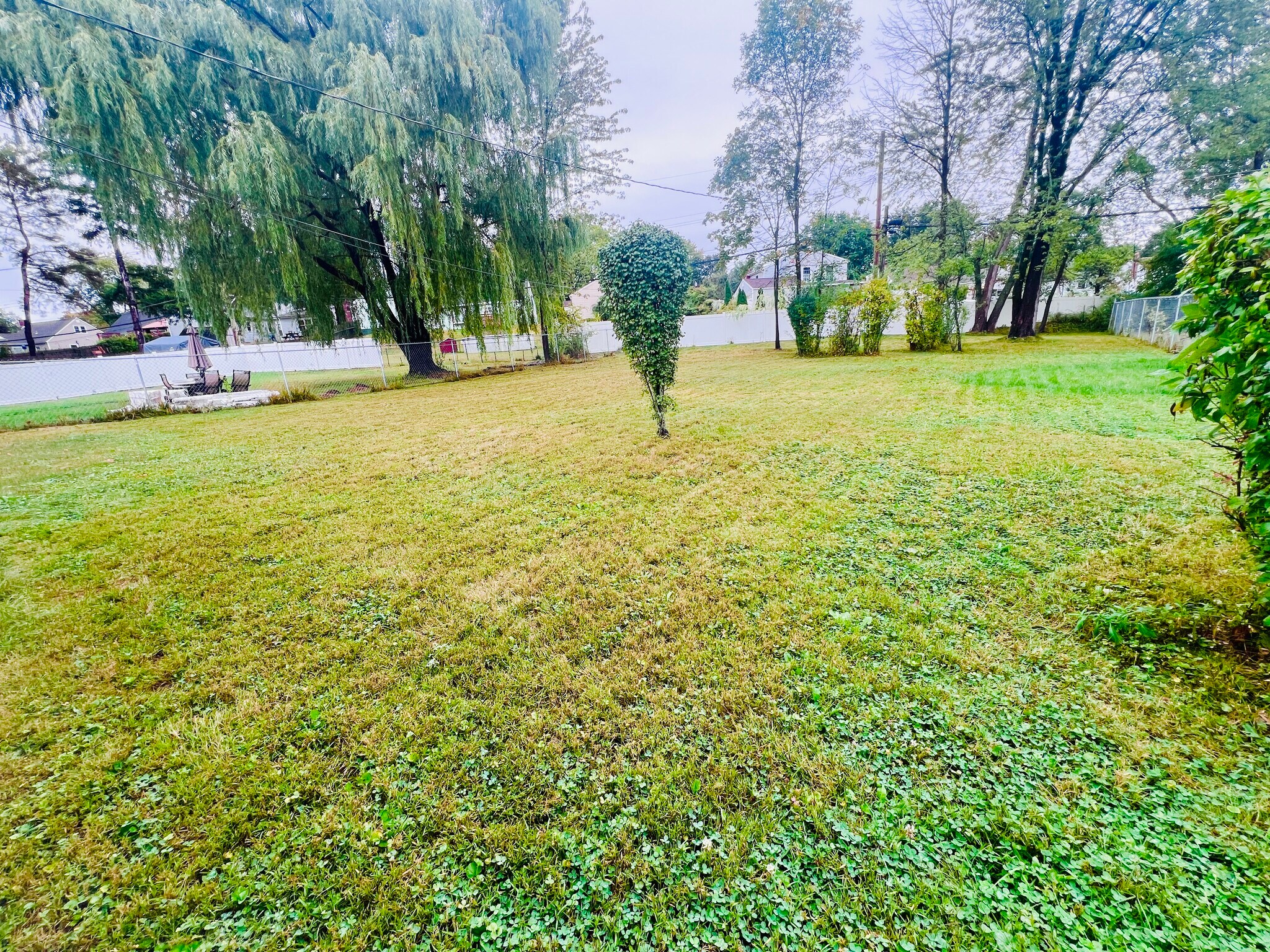 Backyard - 18 Luella Rd