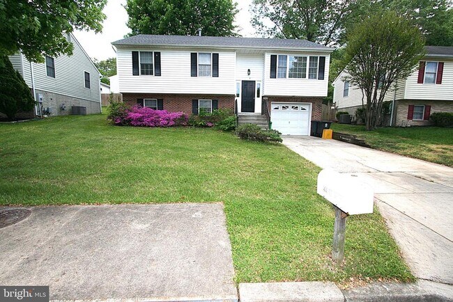 Building Photo - 4405 Apex Ln