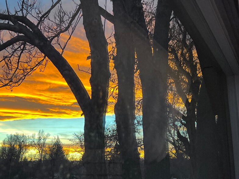 Building Photo - 105 E 12th St