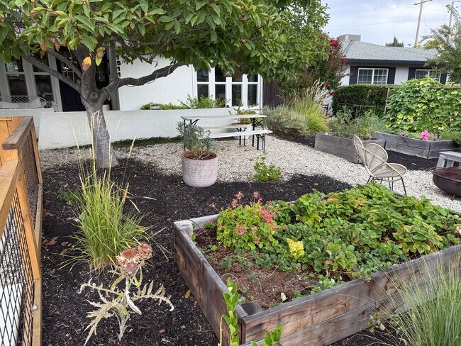 Building Photo - 1511 Dana Way