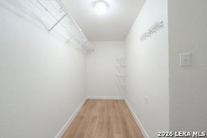 Building Photo - 3926 Privet Pl