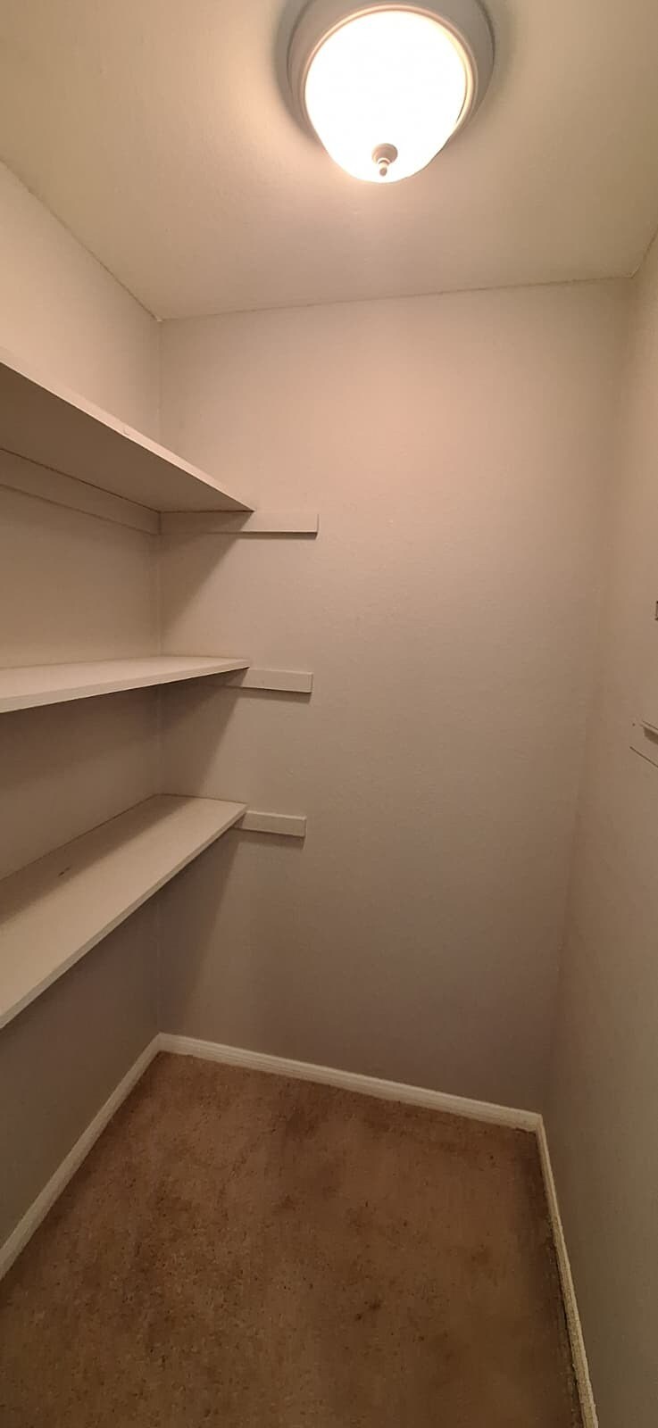 Building Photo - 1455 E Katie Ave