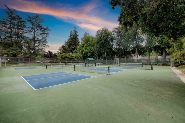 Building Photo - Fabulous Campus Commons 3 Bedroom