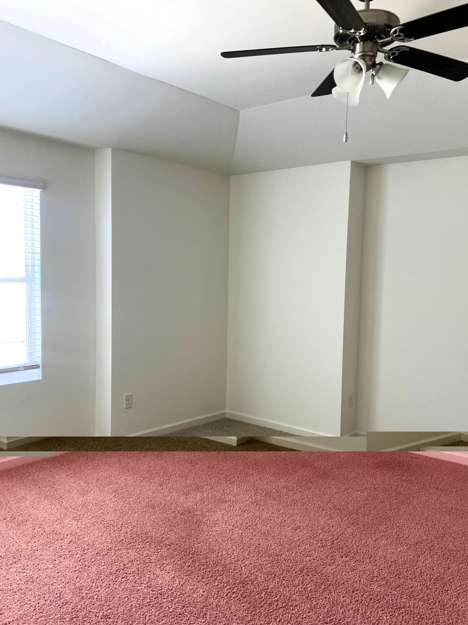 Building Photo - 252 Chelsea Pk Cir