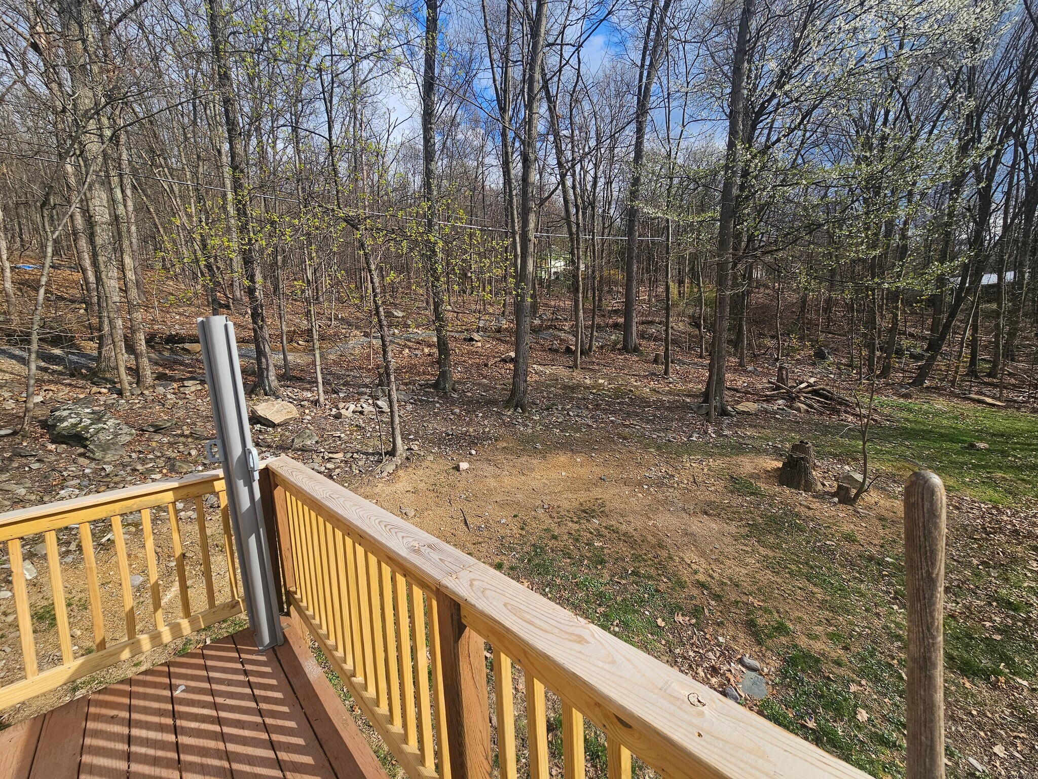 View from deck - 852 Gray Fox Rd