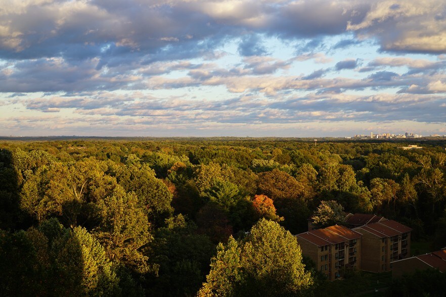 View from Living Room & Master Bedroom…rich glare free views with the sun behind you after 2pm - 11776 Stratford House Pl