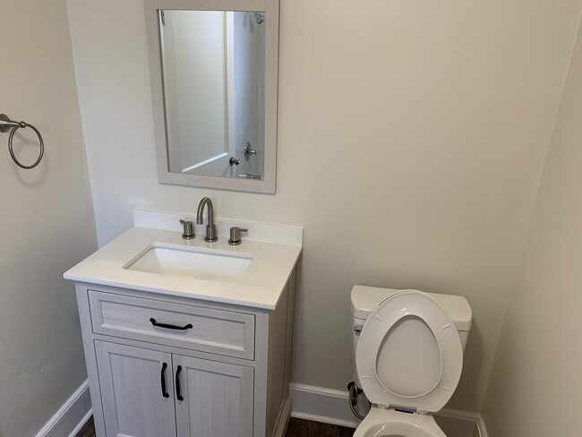 Master Bath Vanity - 1936 Ivy St