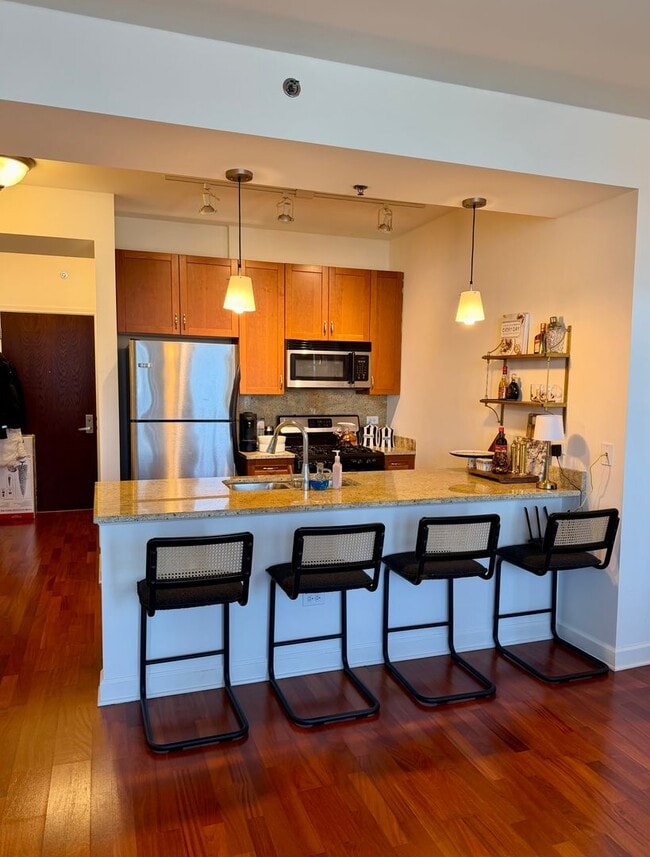 Building Photo - Stylish South Loop 1 Bed, 1 Bath w/ Pool, Elevator, Party Room + Extra Storage