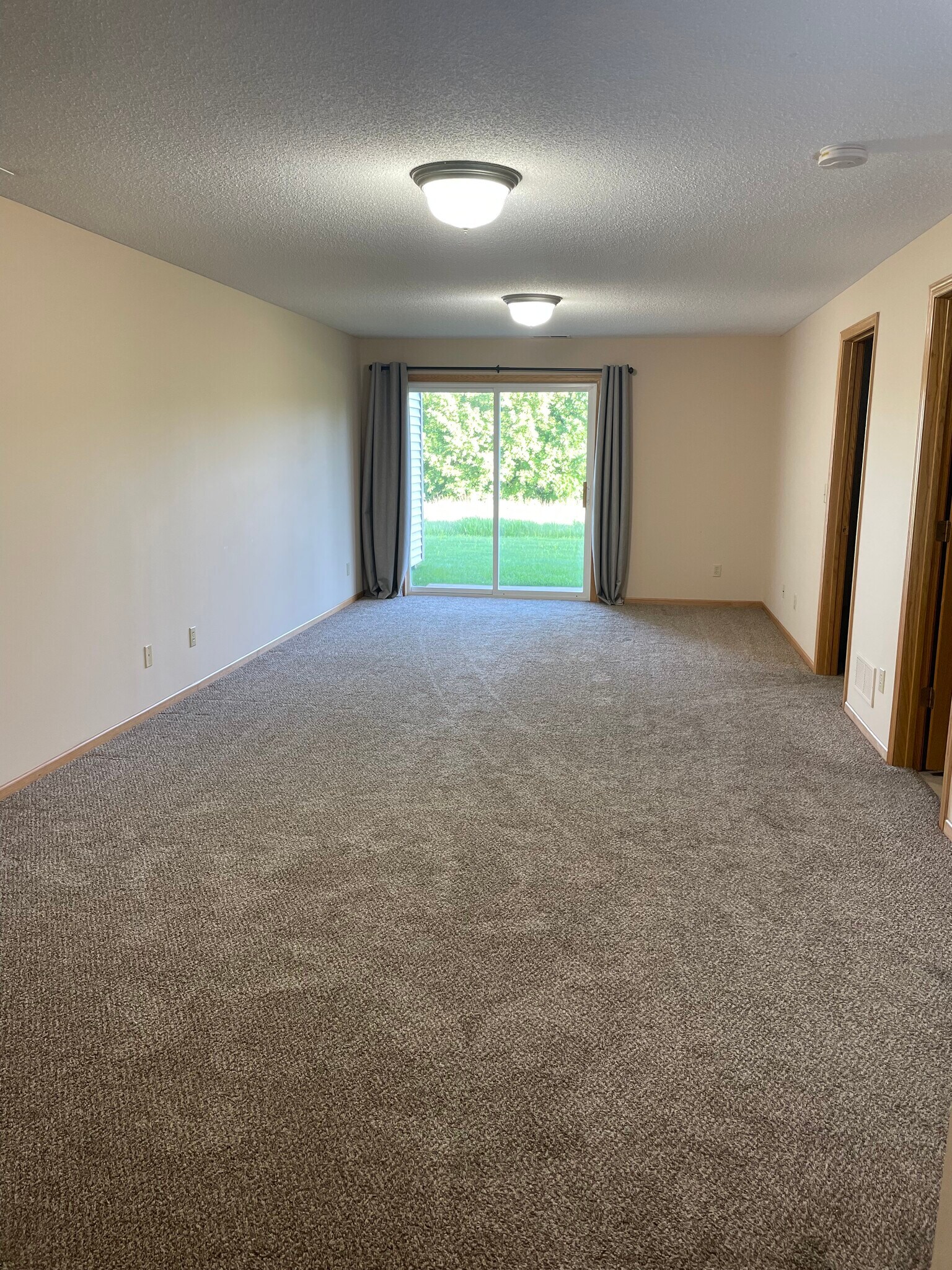 Basement - 1645 Lakeridge Way