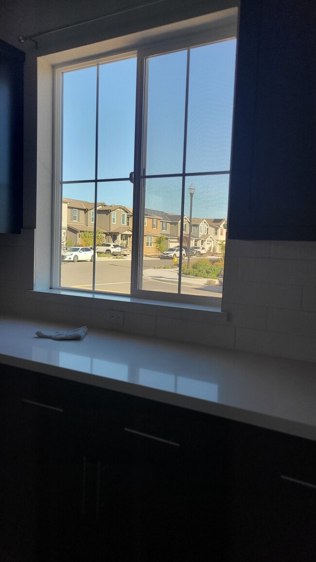 Building Photo - 7313 Umberto Pl