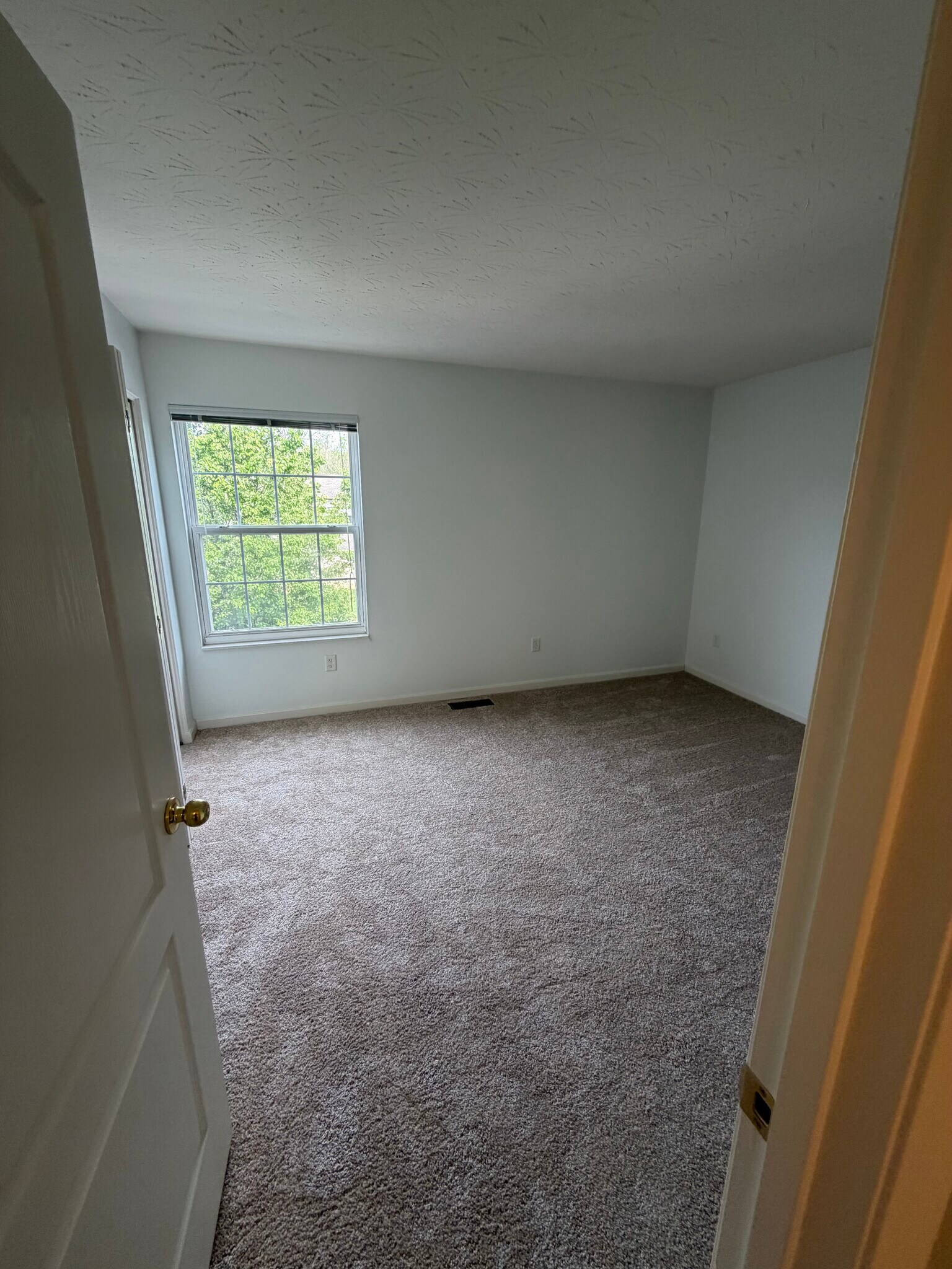 Building Photo - 4043 Spyglass Hl