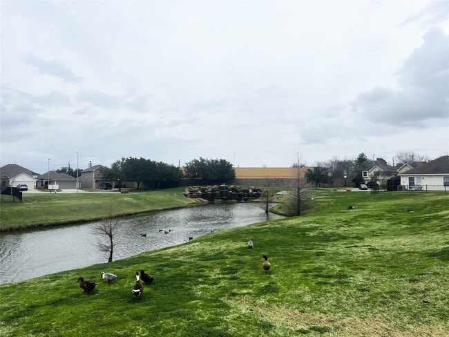 Building Photo - 10838 Waterfern Ct