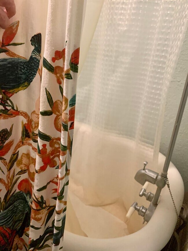 Building Photo - 1017 17th St