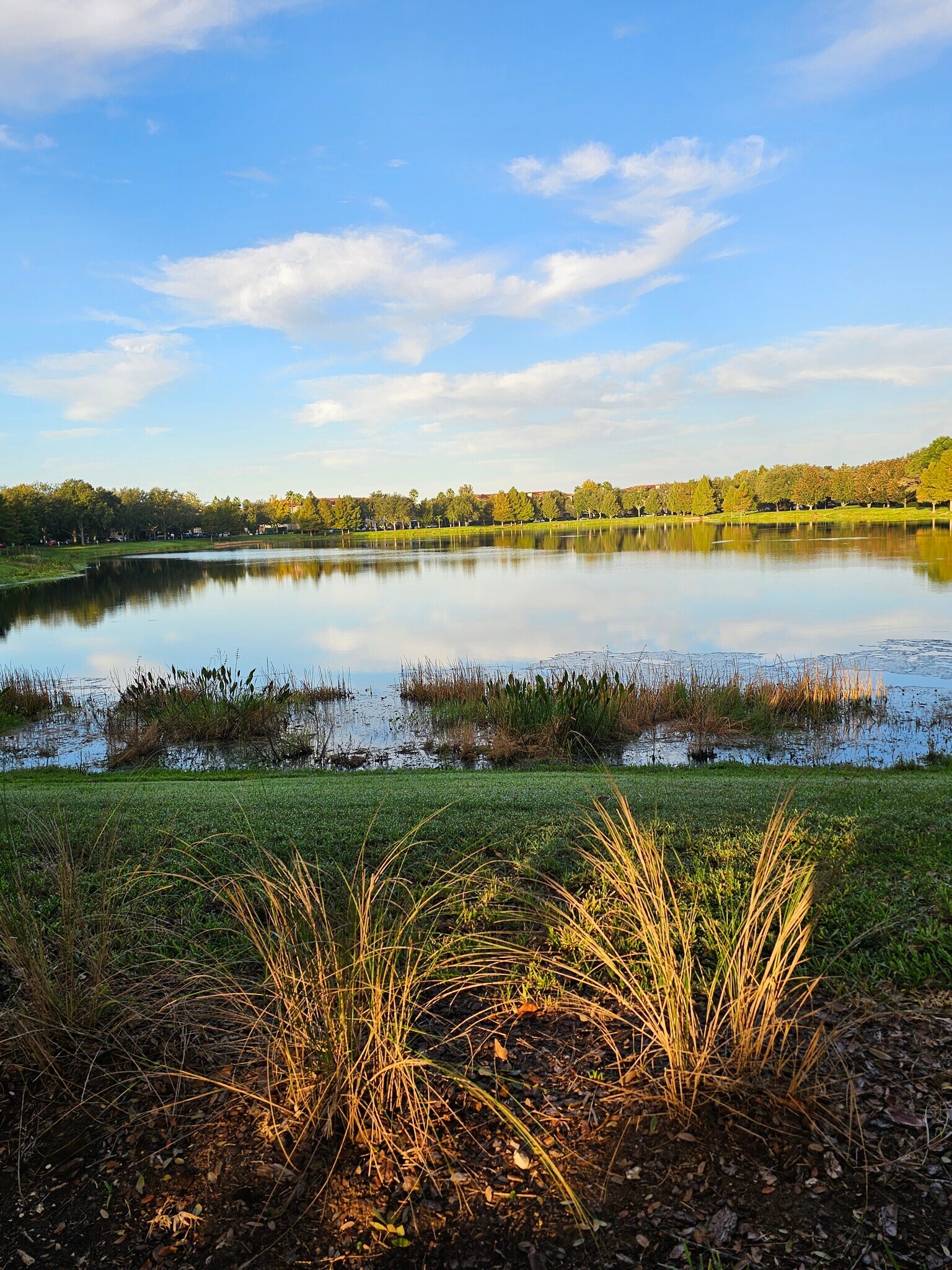 Building Photo - 11434 Jasper Kay Ter