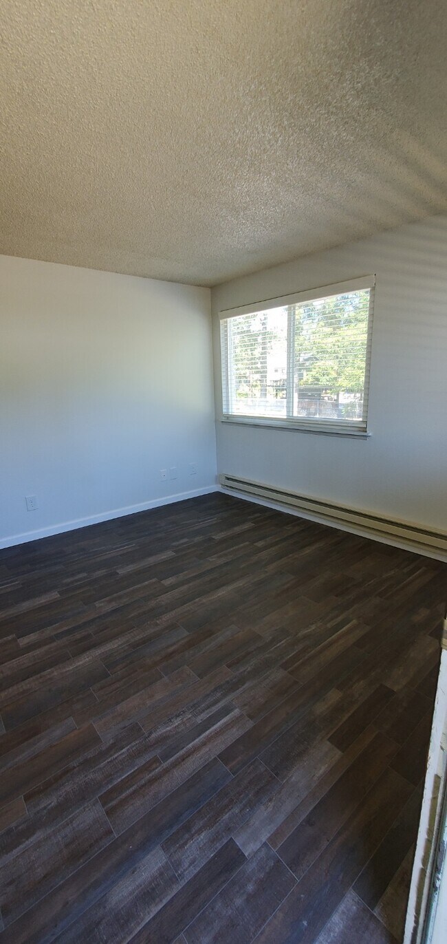 One Bed Living (From Entry) - Evergreen Park Apartments in Olympia!