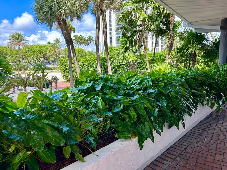 Carport Entrance - 5415 Collins Ave