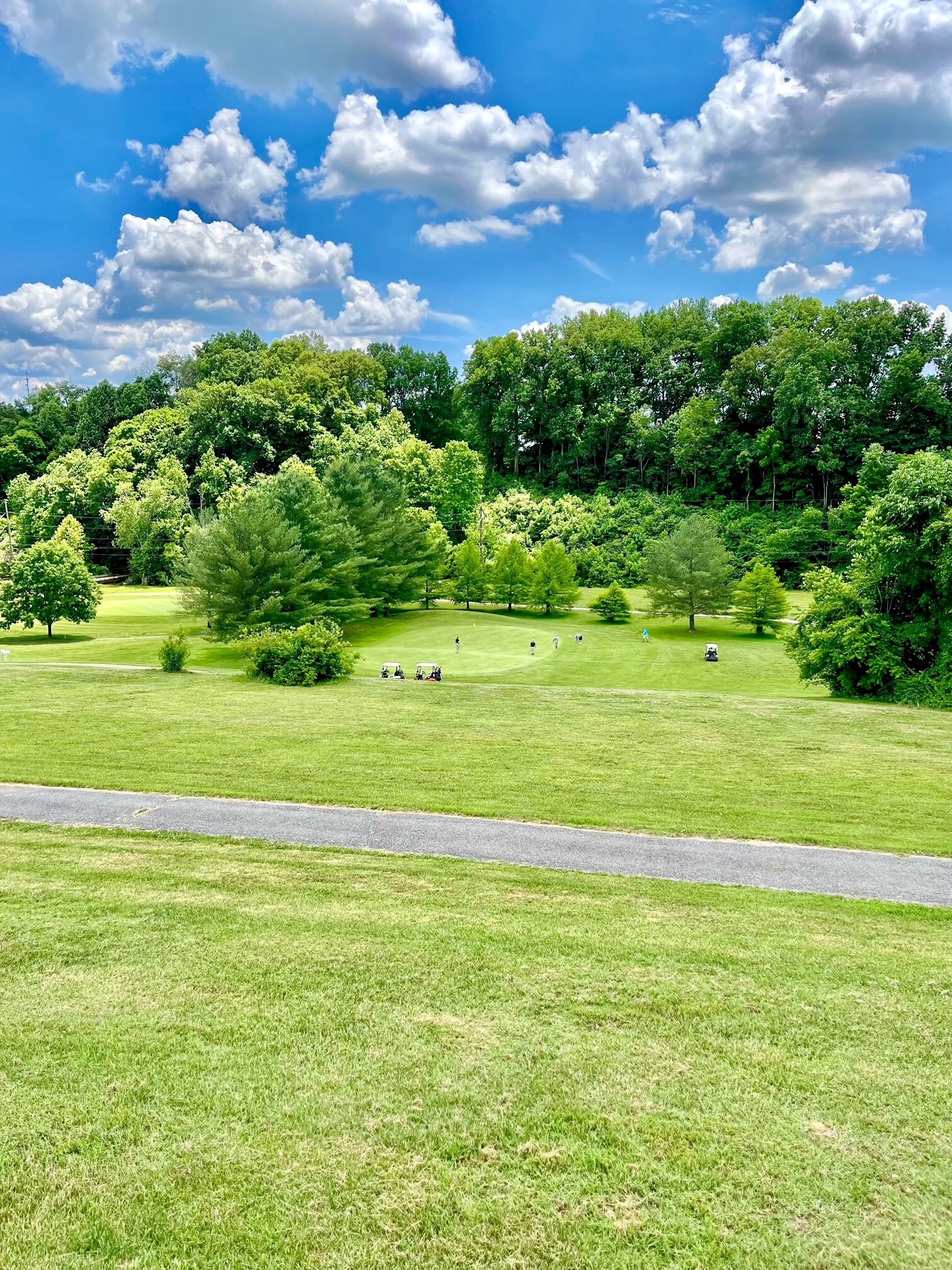 Picture of 12th Green - 49 Melrose Dr