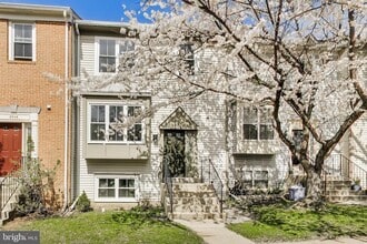 Building Photo - 3548 Softwood Terrace