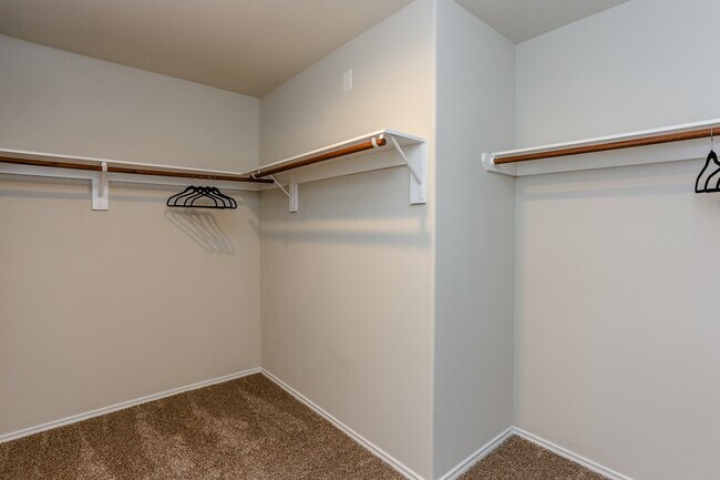 Building Photo - 9922 Southern Bayberry Dr