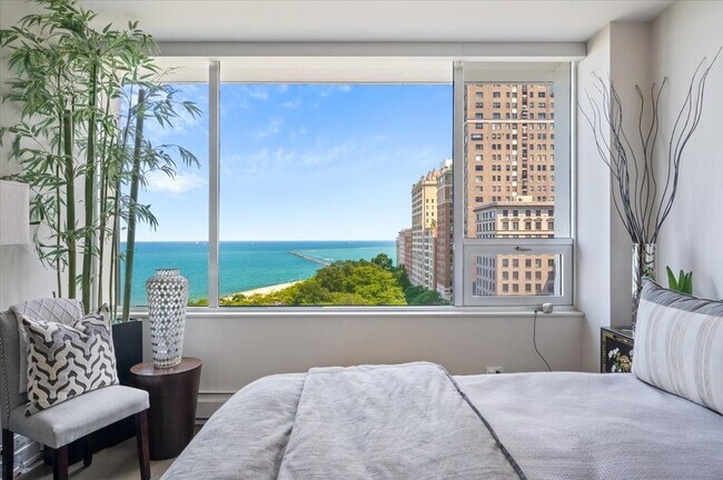 Building Photo - 1000 N Lake Shore Dr