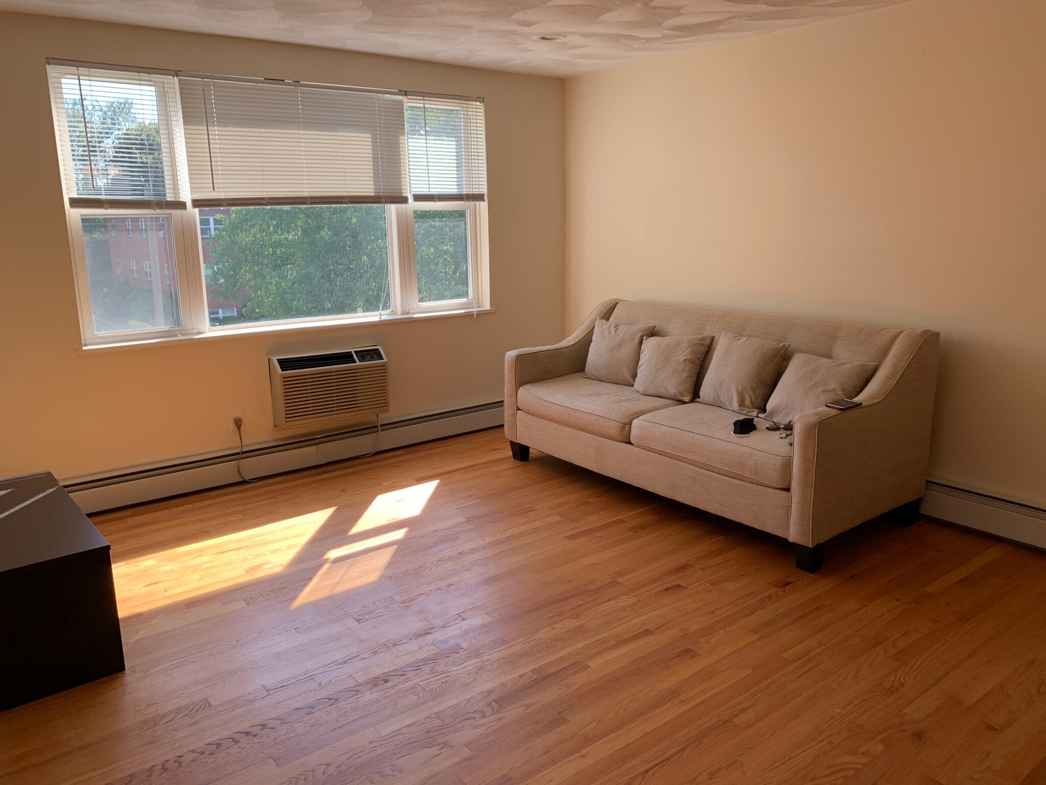 Living room - 1105 Lexington St