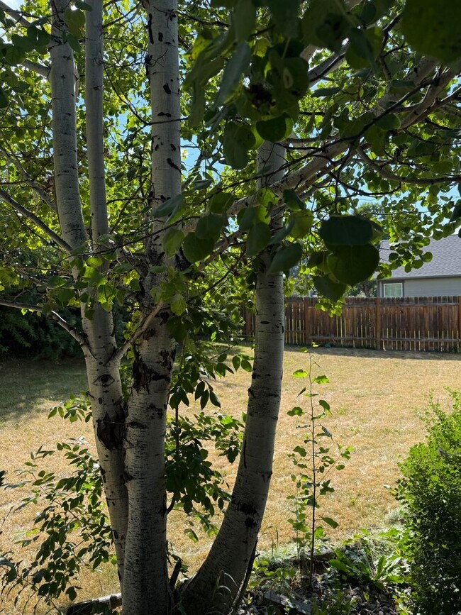 Building Photo - Single Family Home for Rent in Harvest Cre...