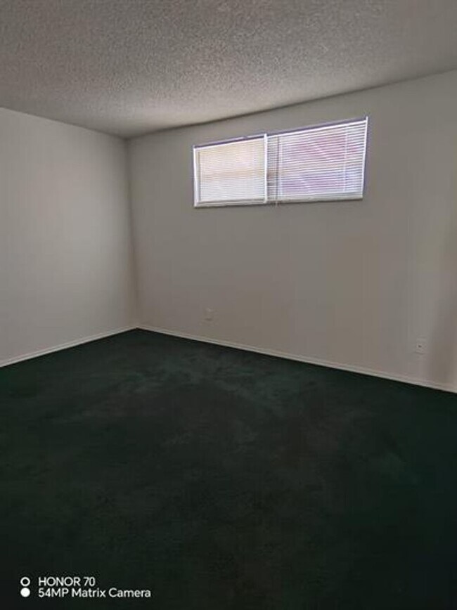 Building Photo - Welcome to Tampa Racquet Club – Where Comfort Meets Convenience!