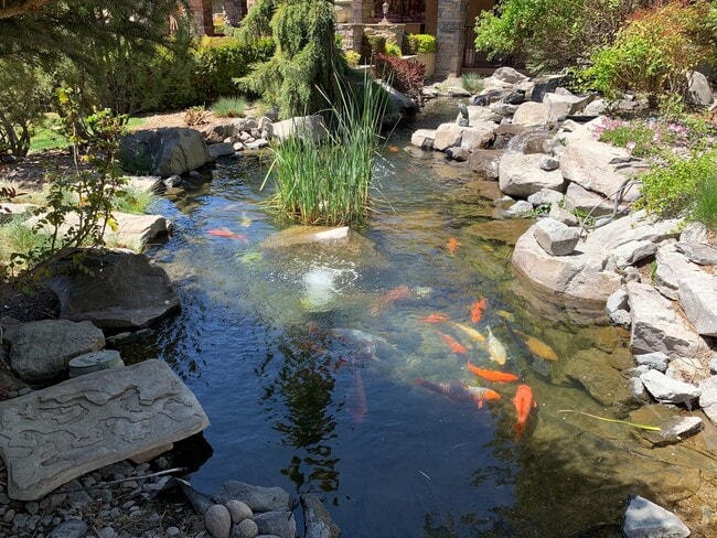 Building Photo - Fully Furnished Single Level Condo Resort LIving