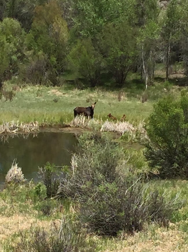 Building Photo - 133 S Fremont Ave