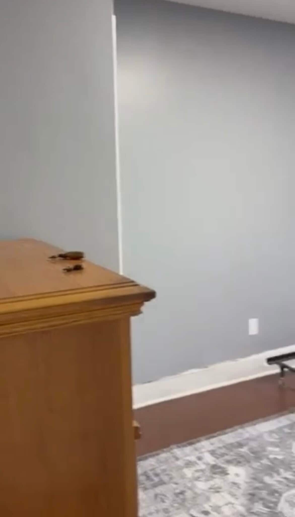 Building Photo - 205 Dewey St