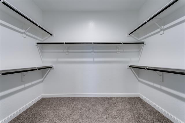 Building Photo - 11536 Wolfhound Dr