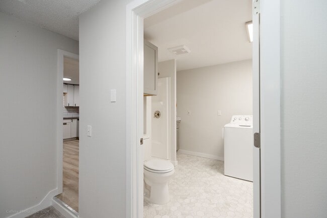 Building Photo - Remodeled 3 Bedroom 2 Bathroom Home, yard, carport