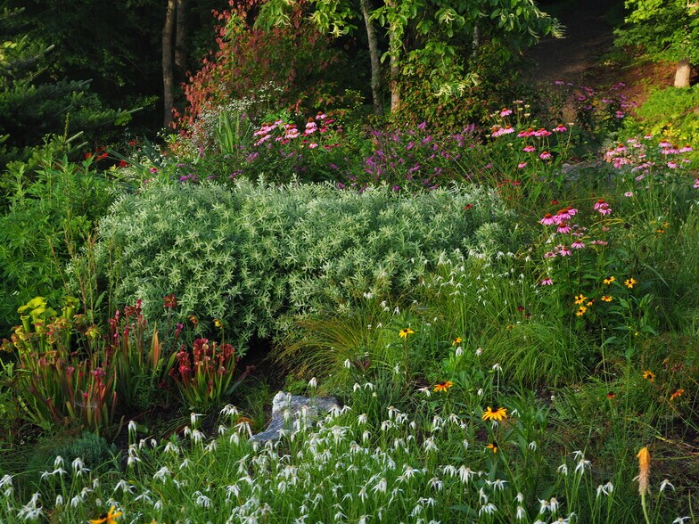 Building Photo - 100 Crab Apple Ln