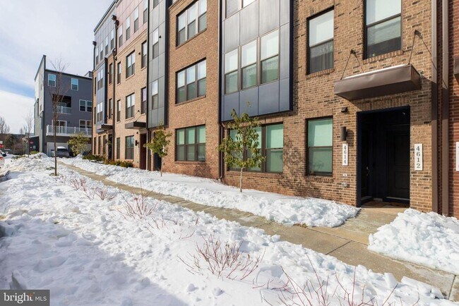 Building Photo - 4614 Olivine Dr