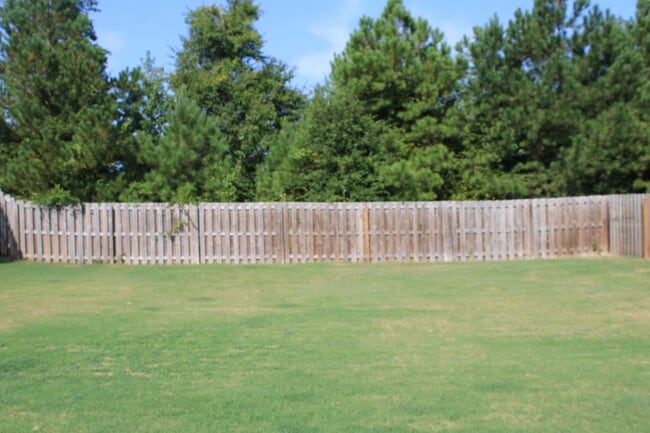 Building Photo - 7105 Summerton Dr