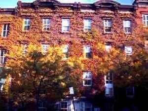 Building Photo - 100 Bowen St