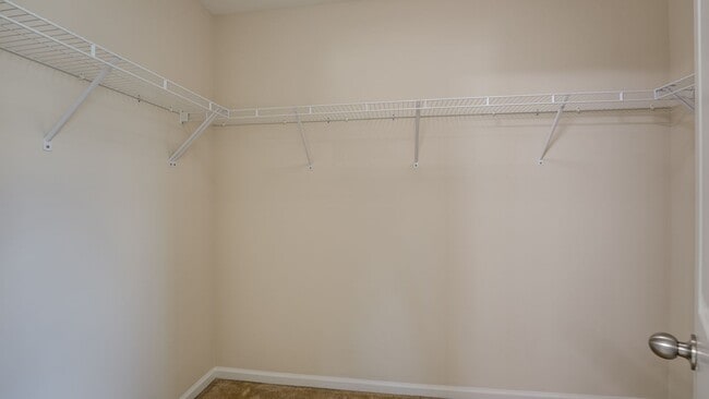 Building Photo - 4 Bedroom 2.5 Bath House in Sophia Landing...