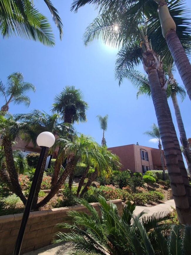 Building Photo - Beautiful 2BD/1BA – Natural Light - Mission Trails/San Carlos Area - Comfortable and Quiet