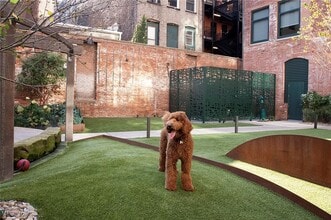 Building Photo - 725 Johnson Ct