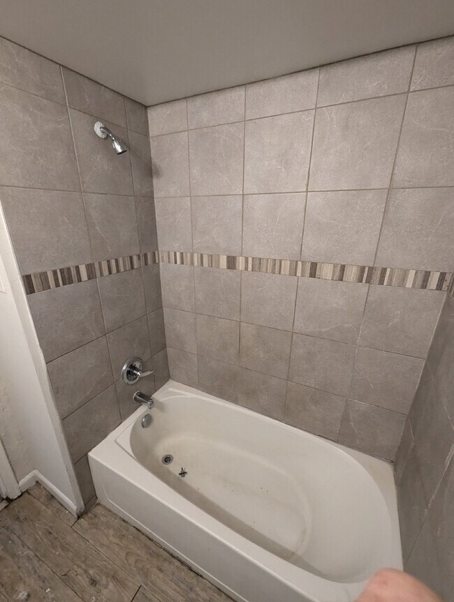 Building Photo - Charming 3/1 just repainted and ready for occupancy!