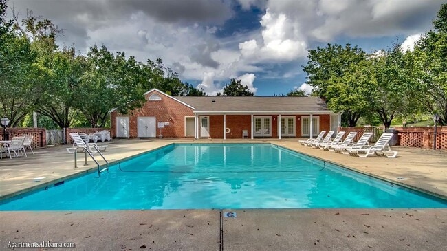 Building Photo - Two Bed | Two Bath @ Lakewood Commons