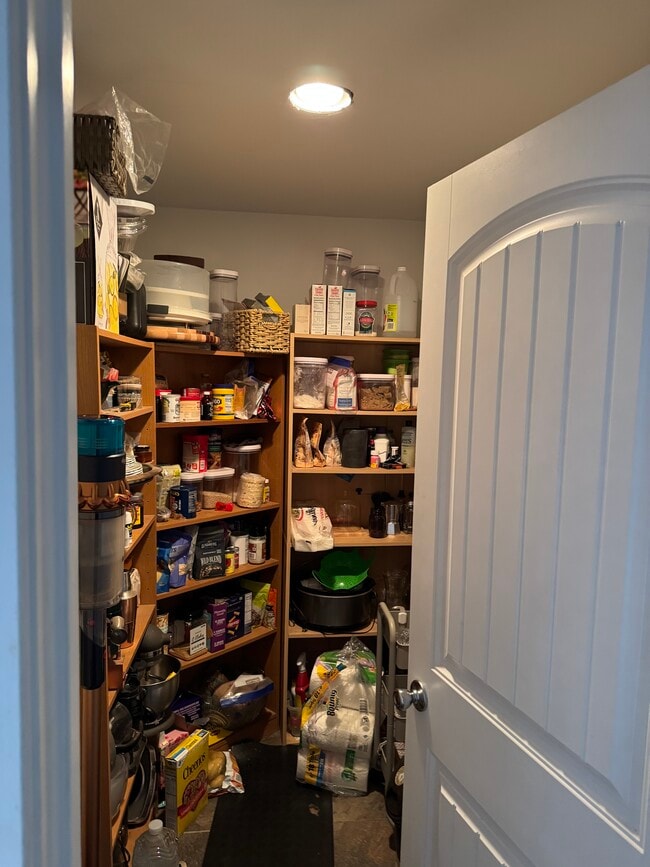 Building Photo - 270 Spruce Ln