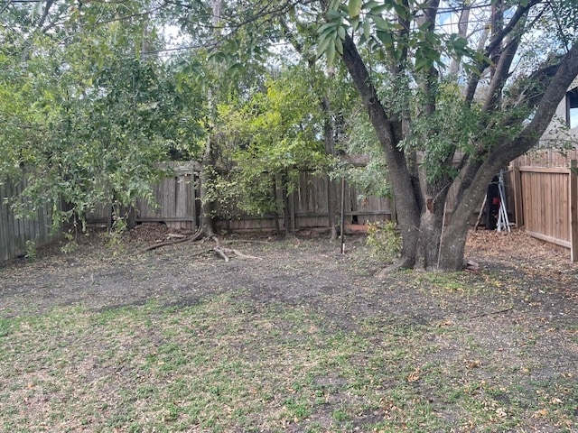 Backyard - 16110 Fitchburg Cir