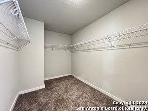 Building Photo - 518 Wild Olive Wy