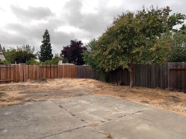 Building Photo - Single Story 3 Bedroom 2 Bathroom Home in ...