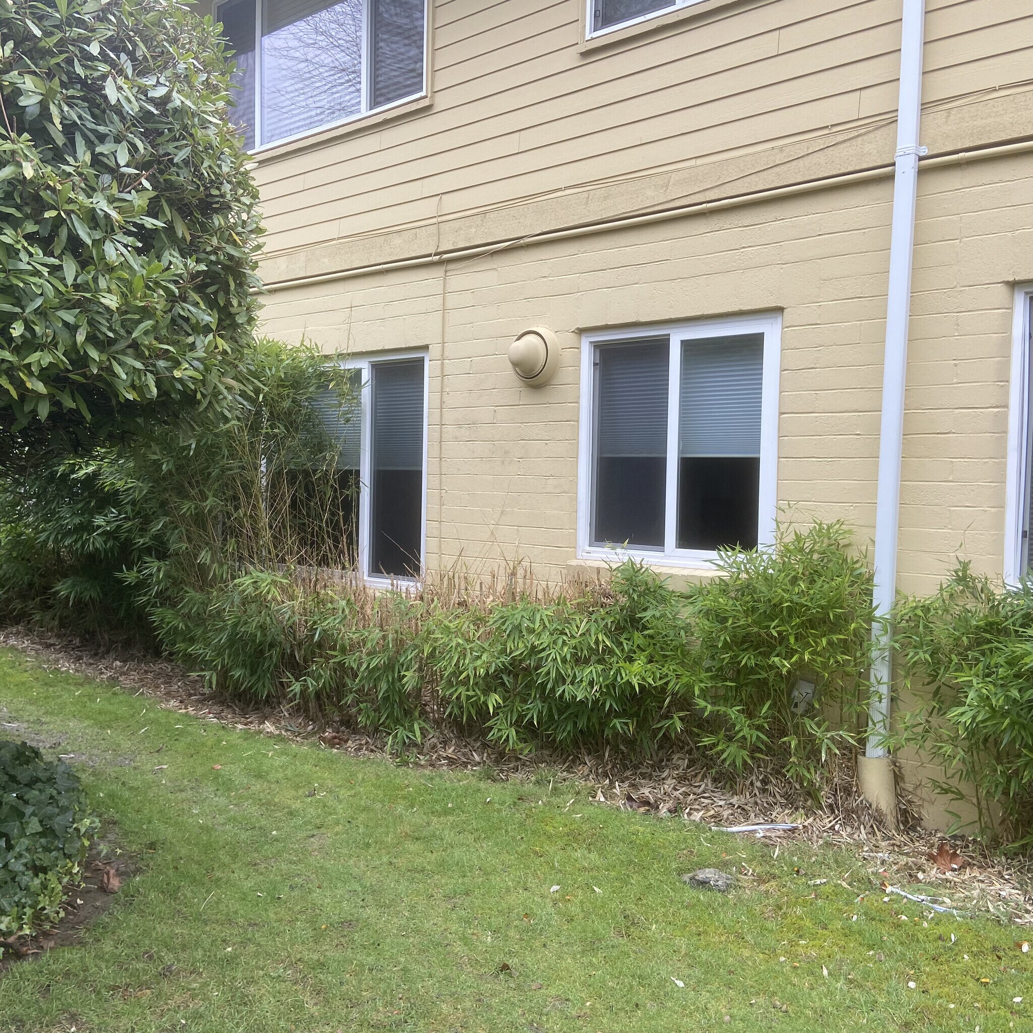 Building Photo - 4705 40th Ave NE