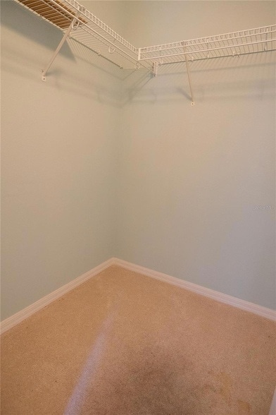 Building Photo - 3559 Capland Ave